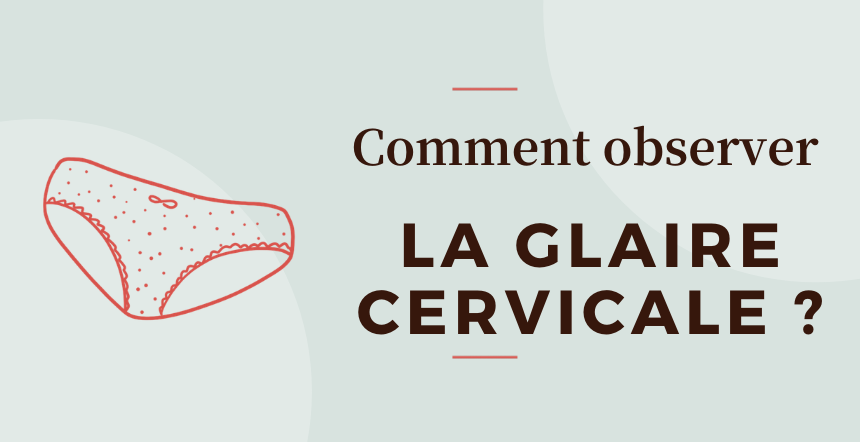 Glaire Cervicale Comment L Observer Notre Tuto Pas A Pas