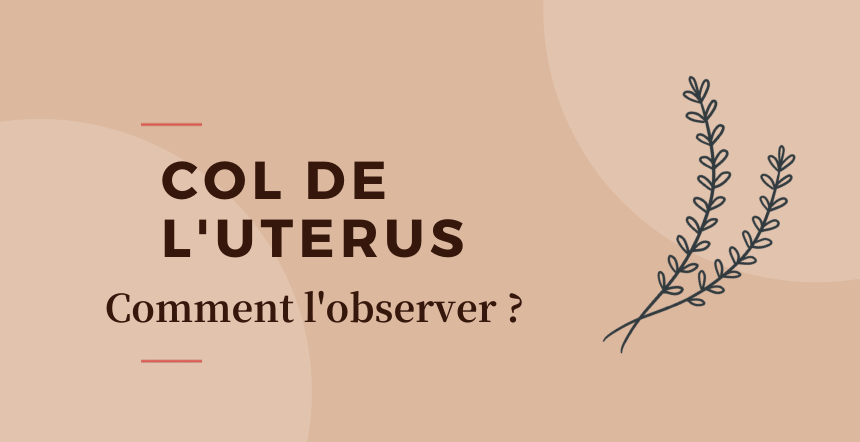 Col de l'utérus : en quoi il peut indiquer une ovulation ...