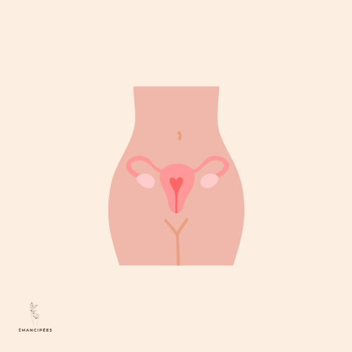 huile d'onagre et syndrome prémenstruel