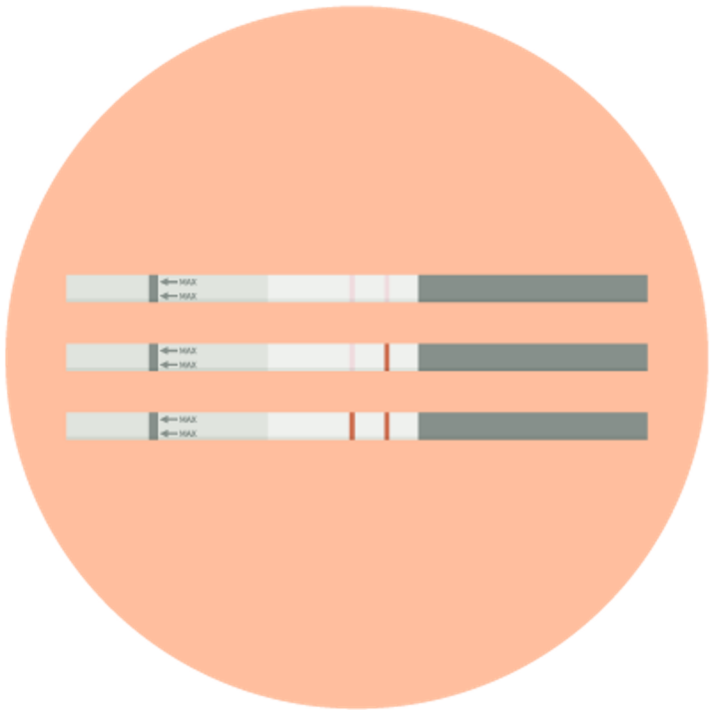 test d'ovulation