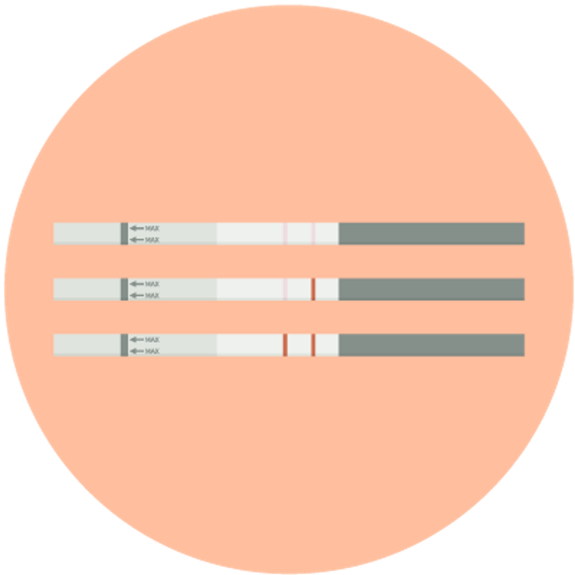 test d'ovulation