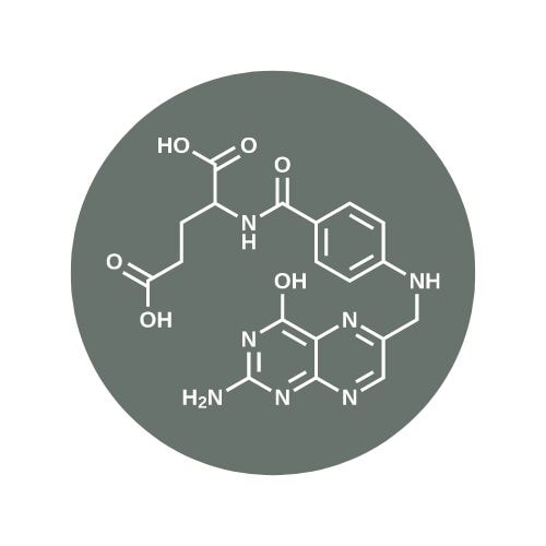 acide folique