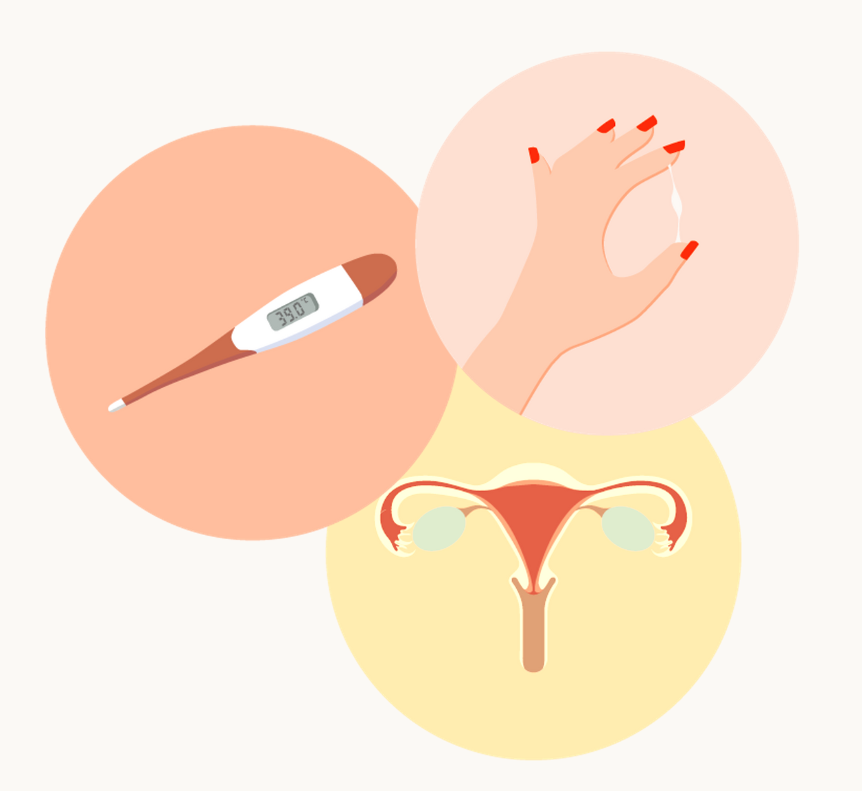 symptômes ovulation