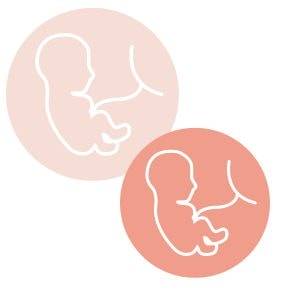 microchimérisme foetal, frères et soeurs