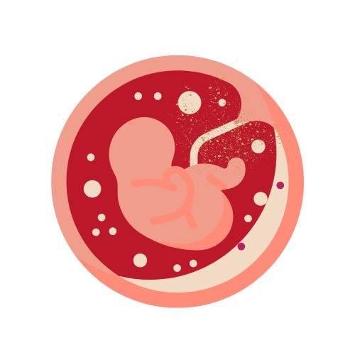 microchimérisme foetal définition