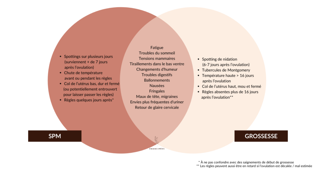 différences symptômes grossesse et spm