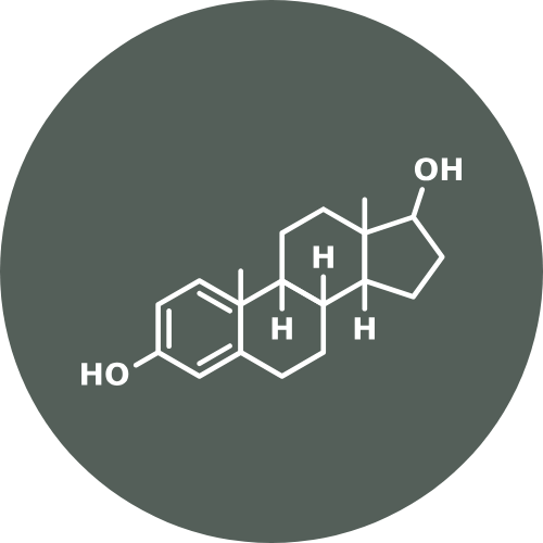 estrogènes