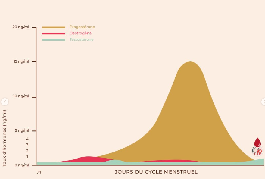 hormones oestrogènes et progestérone