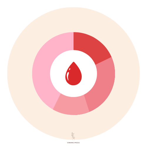 cycle menstruel